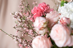 floral-crush